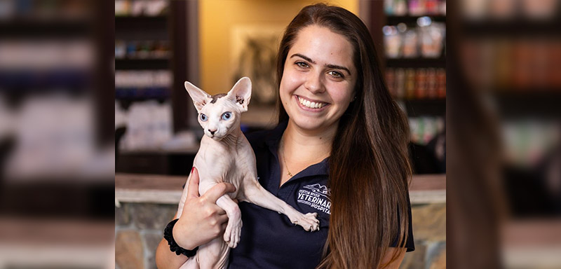 Meet Dr. Christina Parrella, Veterinarian at Fenton River Veterinary Hospital