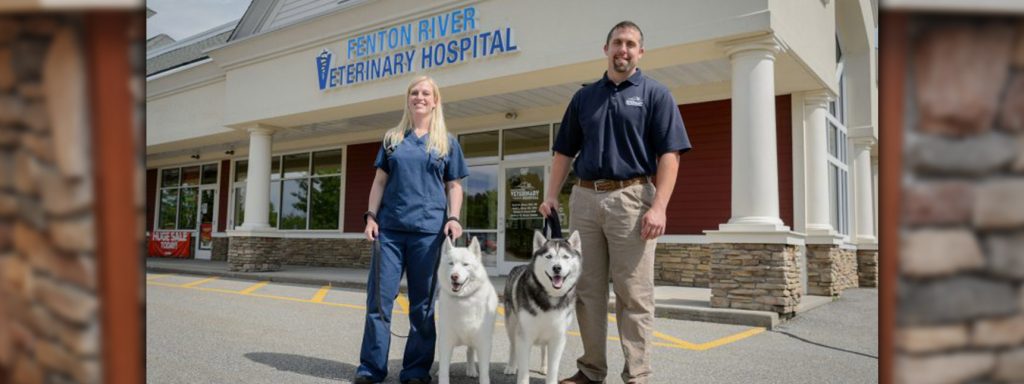 fenton-river-veterinary-hospital-tolland-ct