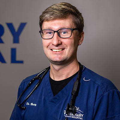 Meet Dr. Jesse Batty, Veterinarian at Fenton River Veterinary Hospital