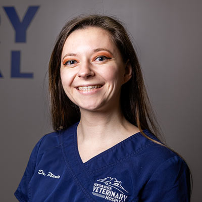 Dr. Sarah Plante Fenton River Veterinary Hospital